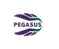 Pegasus